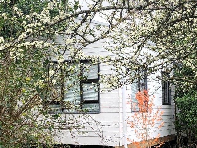2 Bedroom Property for Sale in Knysna Central Western Cape